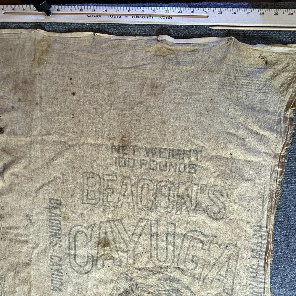 Vintage Cayuga Chicken Feed Bag‎ Beacon Milling Co Laying Mash Indian Chief Head